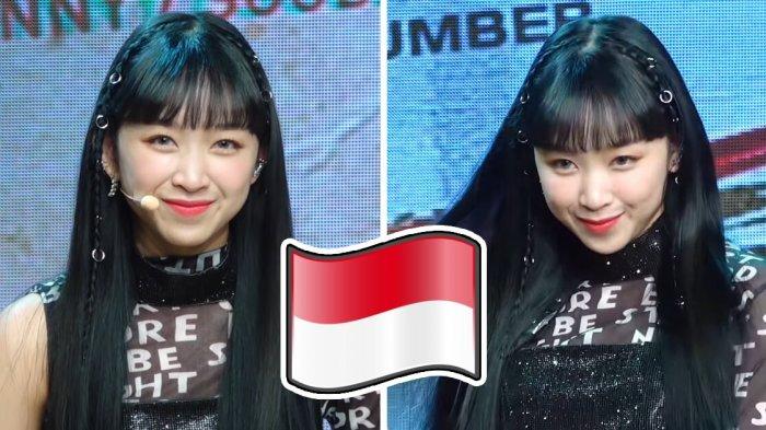 Sejarah dan Latar Belakang Dita Karang: Idol K-Pop Indonesia Pertama