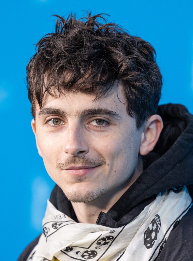 Perjalanan Karier Timothée Chalamet Hingga Menjadi Aktor Hollywood